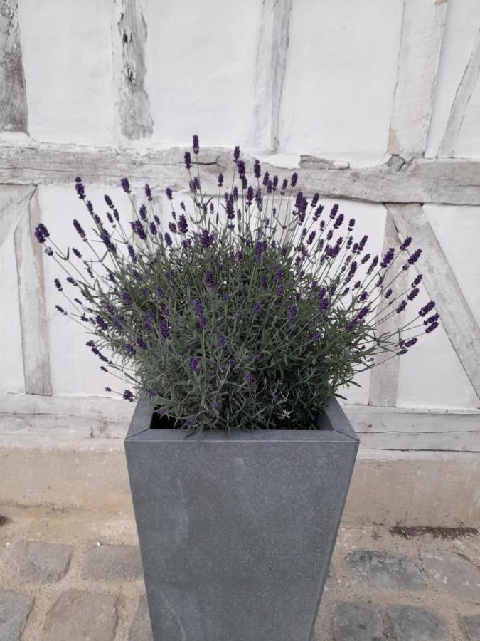Le Clos De L Agneau Bed & Breakfast *